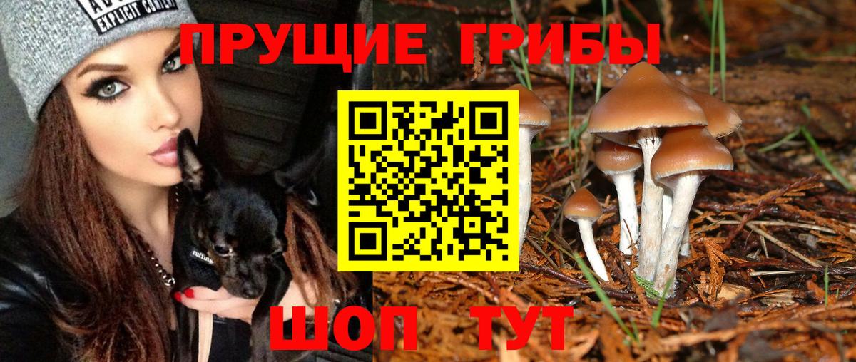 Галлюциногенные грибы Magic Shrooms  Вход с VPN  Псилоцибиновые грибы MAGIC MUSHROOMS  Биробиджан 