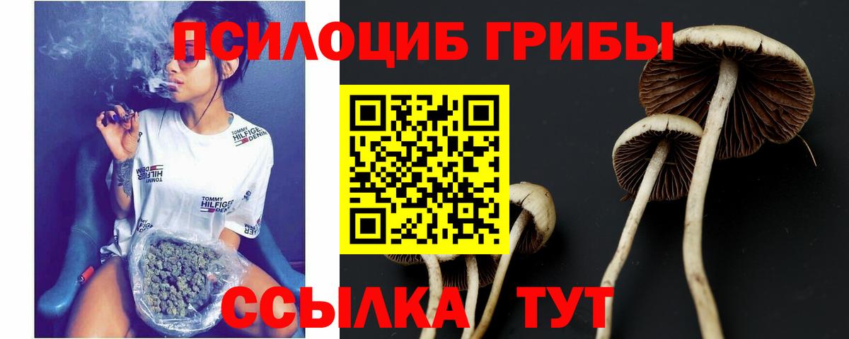Псилоцибиновые грибы прущие грибы Биробиджан
